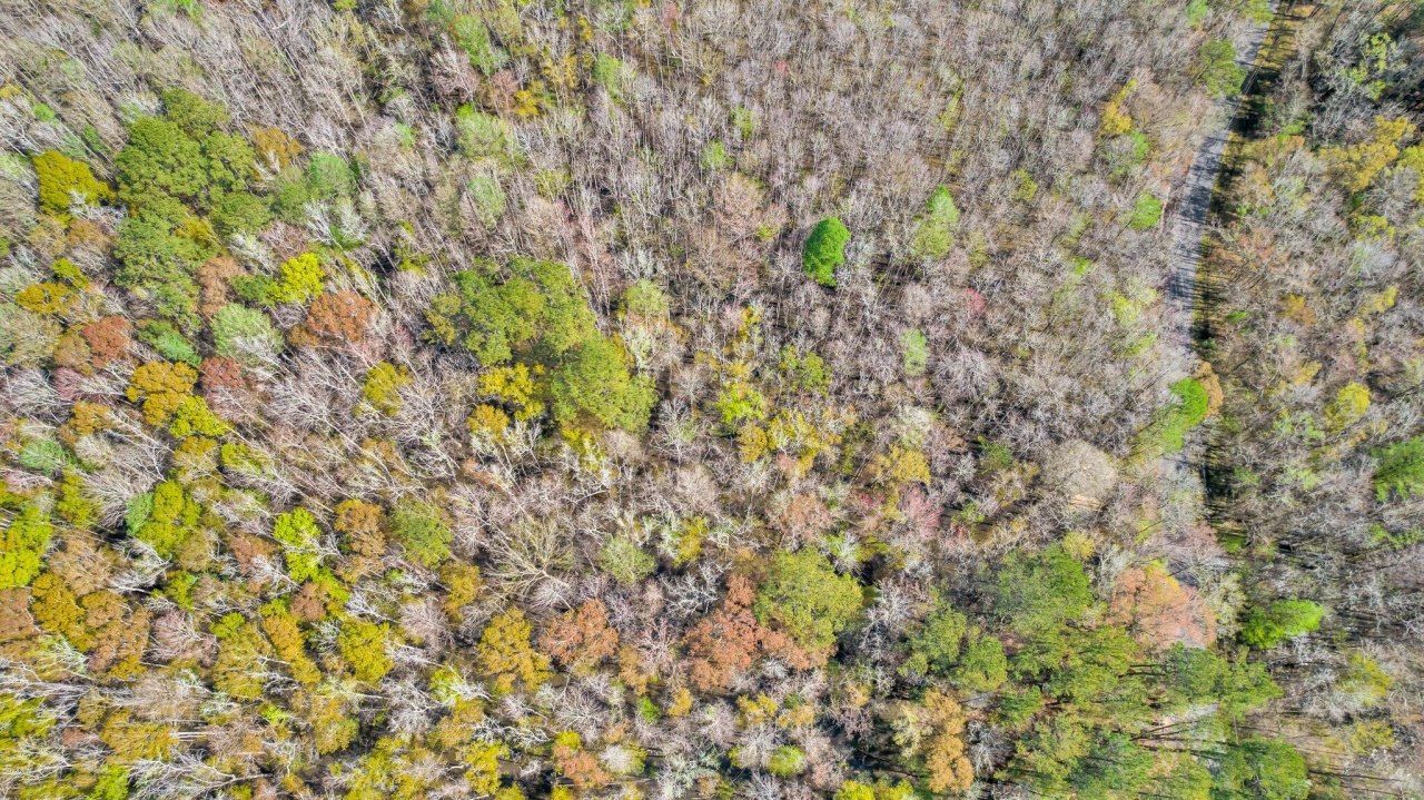 530 Twin Lakes Dr Photo 11