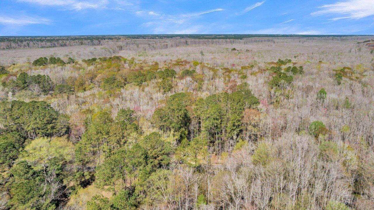 530 Twin Lakes Dr Photo 12