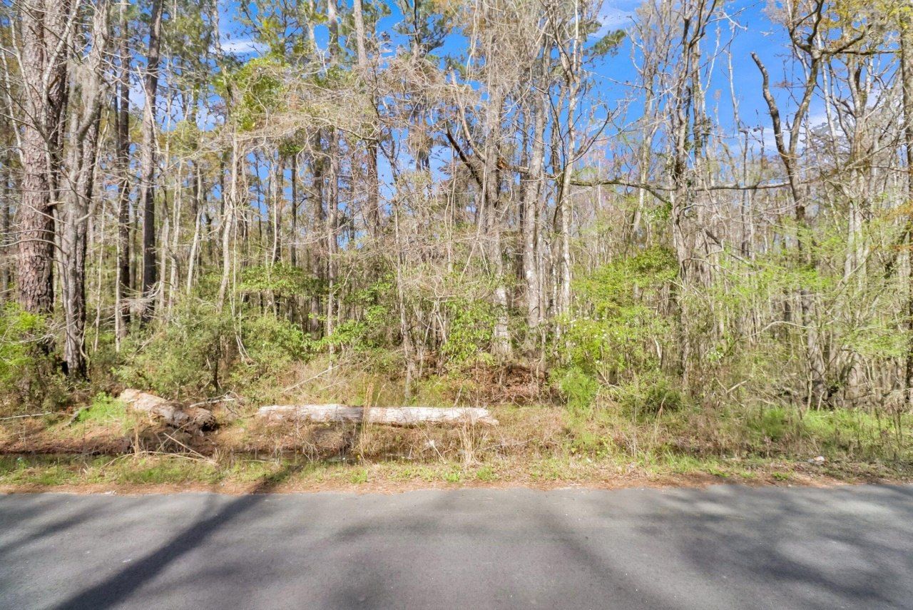 530 Twin Lakes Dr Photo 14