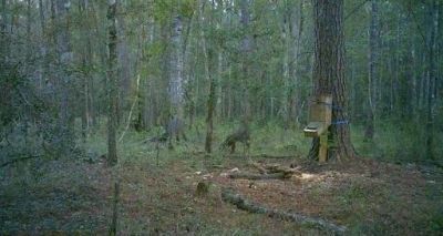 530 Twin Lakes Dr Photo 15