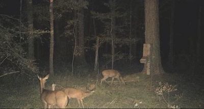 530 Twin Lakes Dr Photo 16