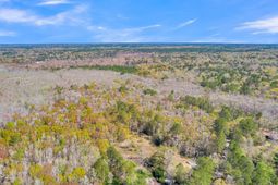 530 Twin Lakes Dr photo 4