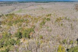 530 Twin Lakes Dr photo 4