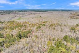 530 Twin Lakes Dr photo 4