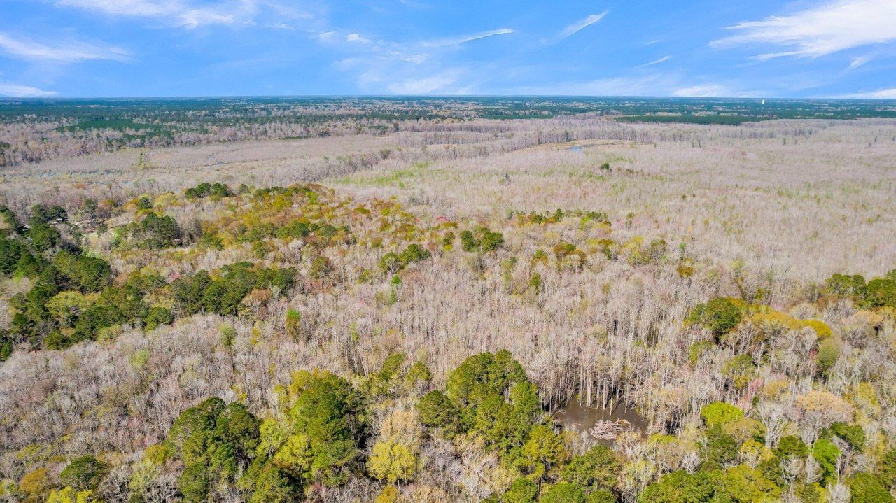 530 Twin Lakes Dr Photo 6