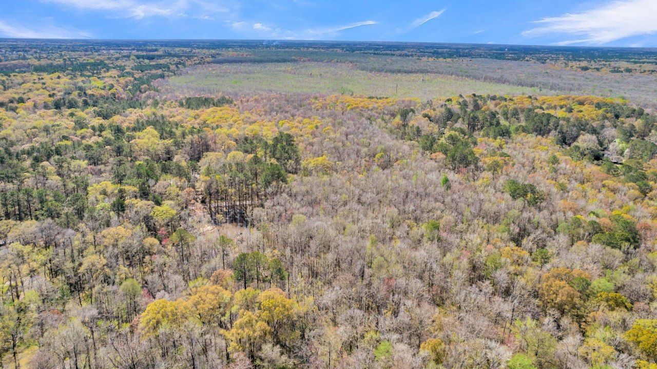 530 Twin Lakes Dr Photo 8