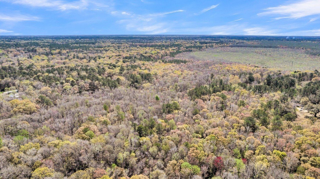 530 Twin Lakes Dr Photo 9