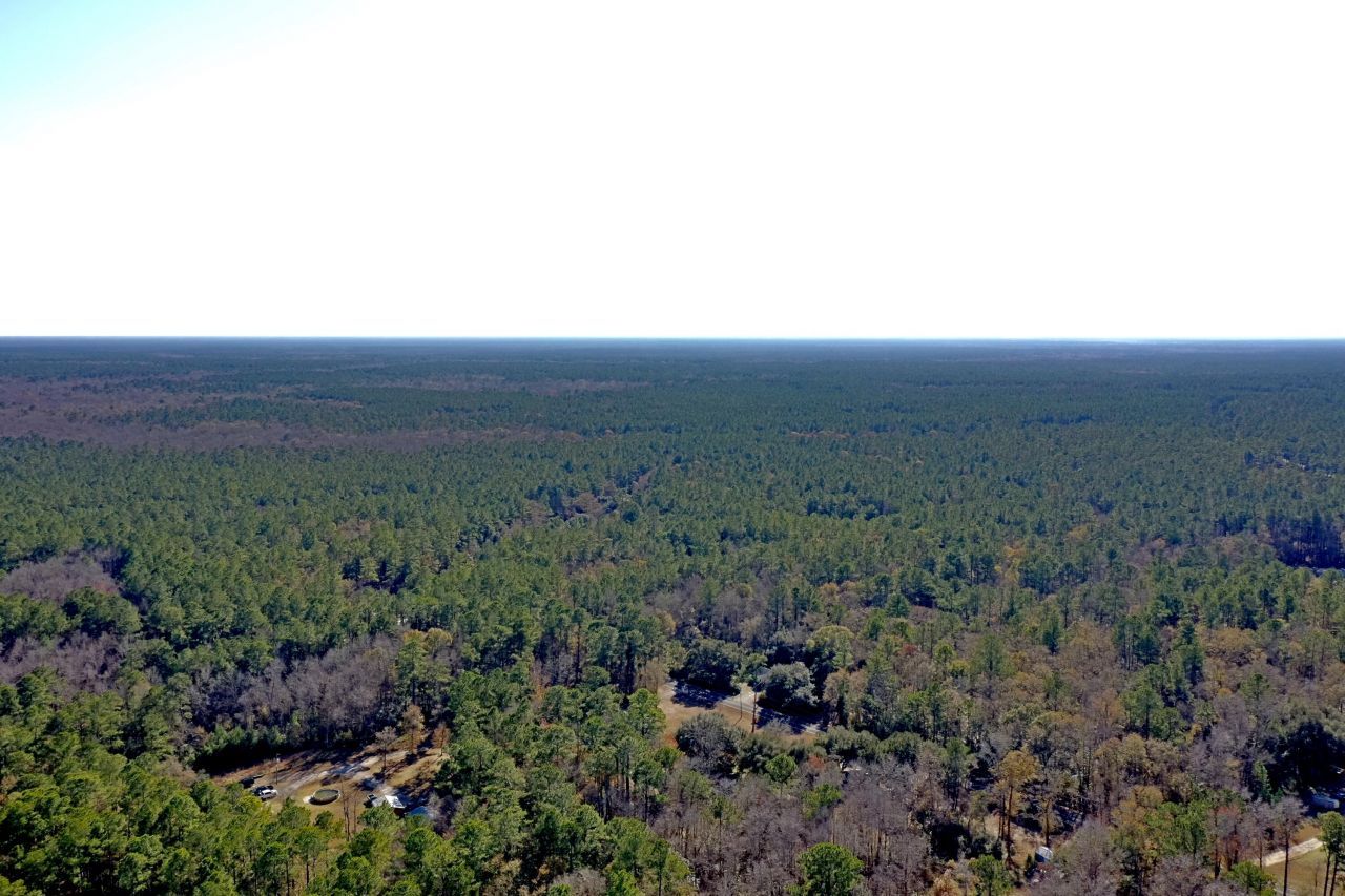 0 Pickin Parlor Lane Photo 3