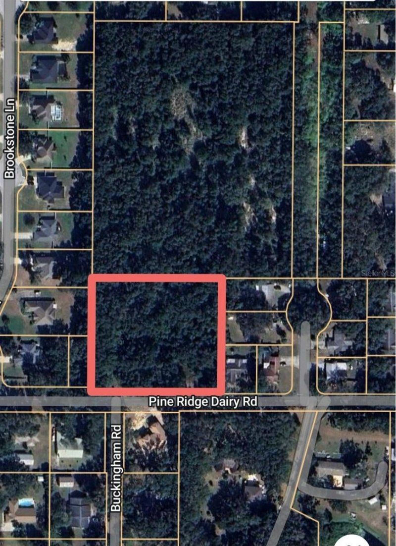 1603 Pine Ridge Dairy Road, Fruitland Park, FL 34731 Main Photo