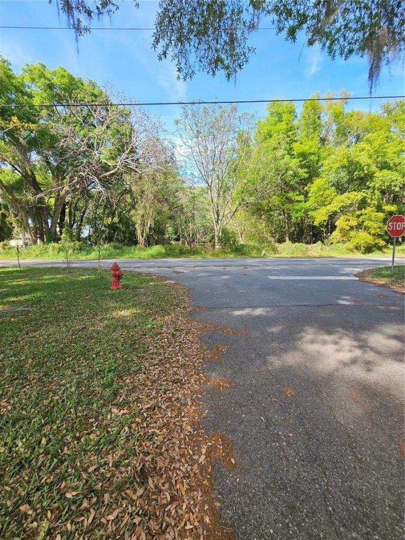 1603 Pine Ridge Dairy Road, Fruitland Park, FL 34731 Photo