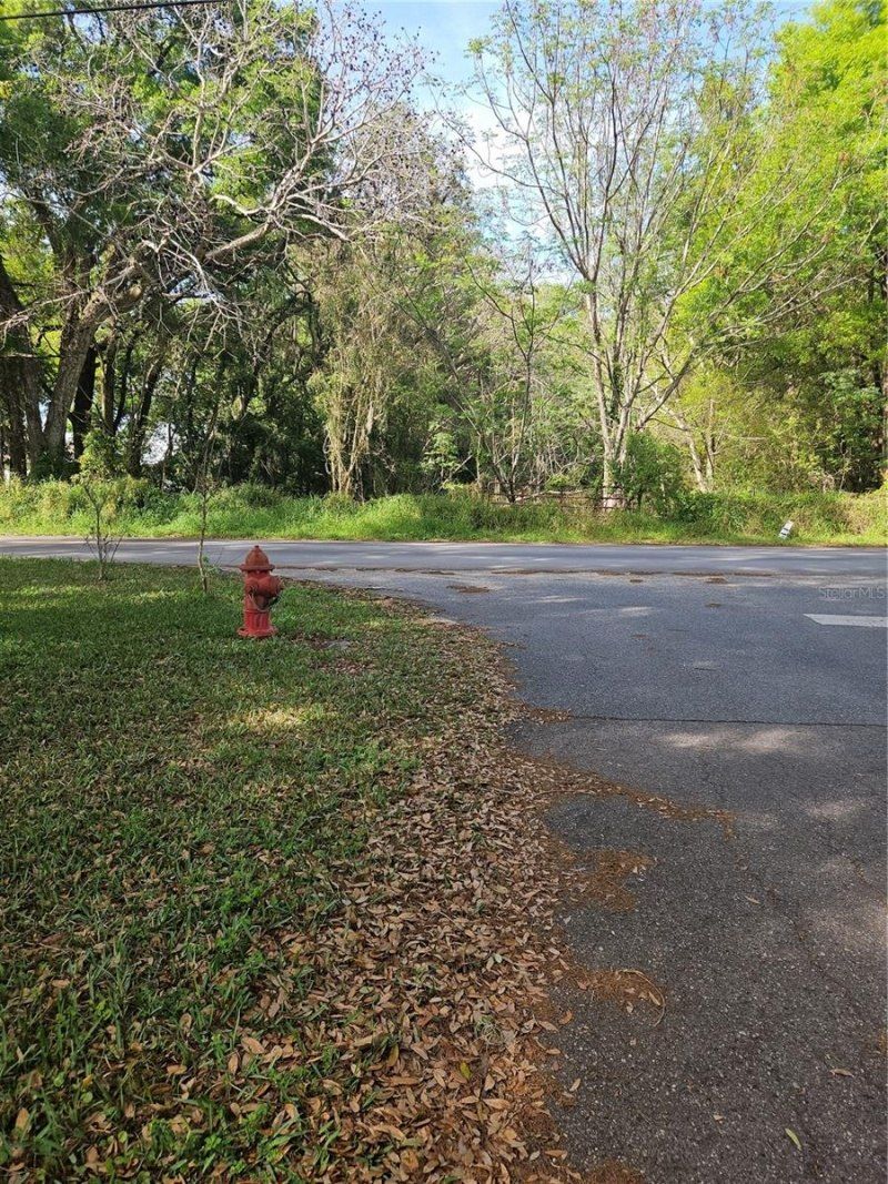 1603 Pine Ridge Dairy Road, Fruitland Park, FL 34731 Photo
