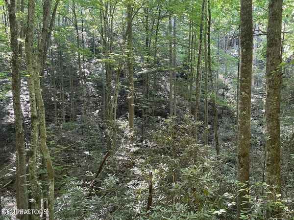 Lot 70 Hazelnut Lane, Sevierville, TN 37876