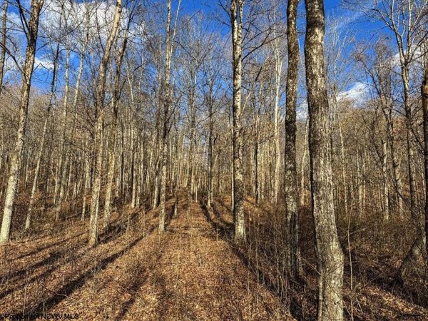 TBD Keller Hill Road, Belington, WV 26260