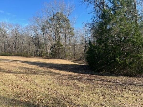 Webster Circle, Vernon, AL 35592