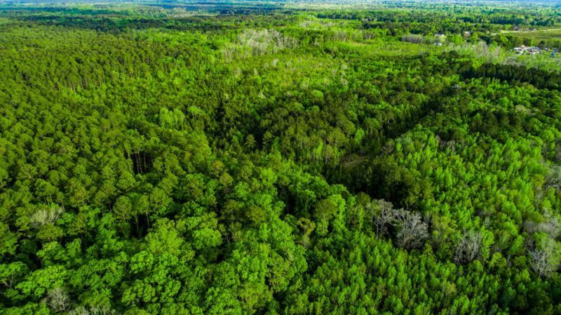 Tbd Dunham Williams Road Photo 13