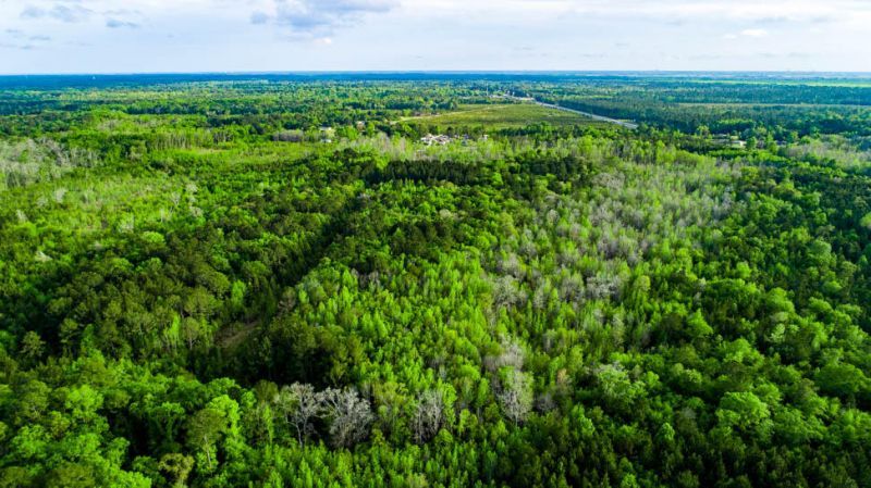 Tbd Dunham Williams Road Photo 14