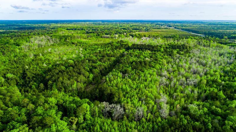 Tbd Dunham Williams Road Photo 15