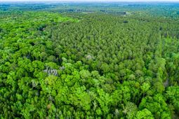 Tbd Dunham Williams Road photo 4