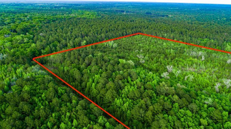 Tbd Dunham Williams Road Photo 4