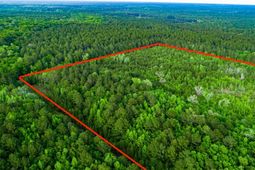 Tbd Dunham Williams Road photo 4