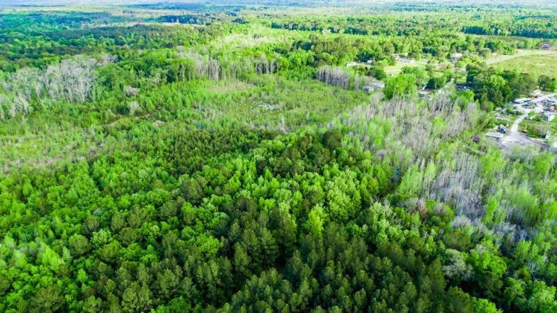 Tbd Dunham Williams Road Photo 6