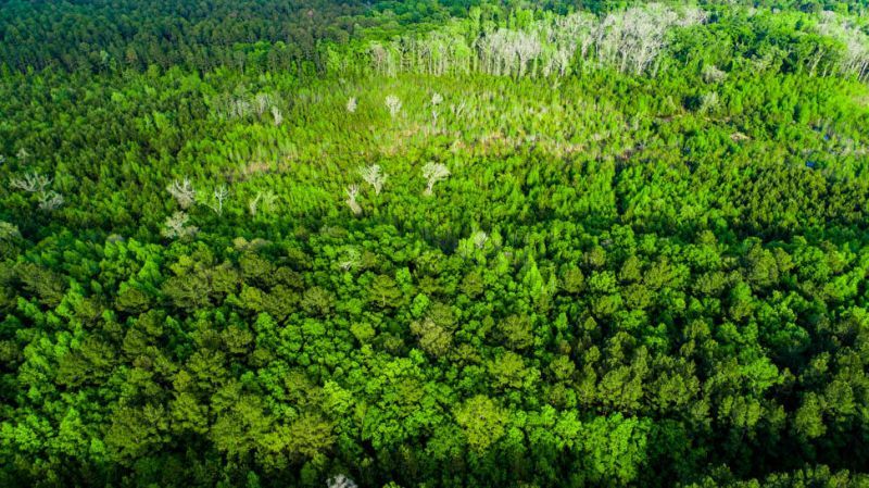 Tbd Dunham Williams Road Photo 8