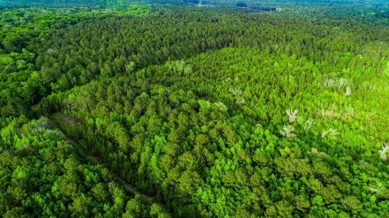 Tbd Dunham Williams Road Photo 9