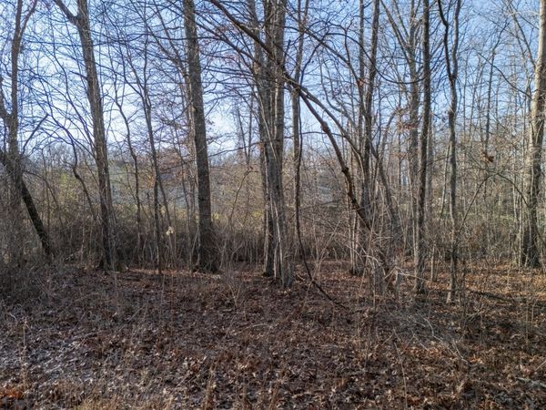 0 Satsuma Dr, Crossville, TN 38555