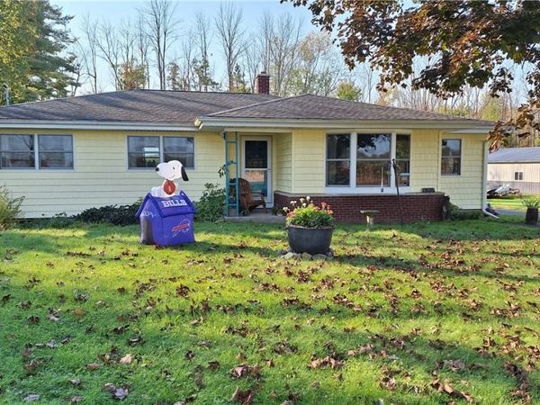 13176 S Butler Conquest Road, Savannah, NY 13146