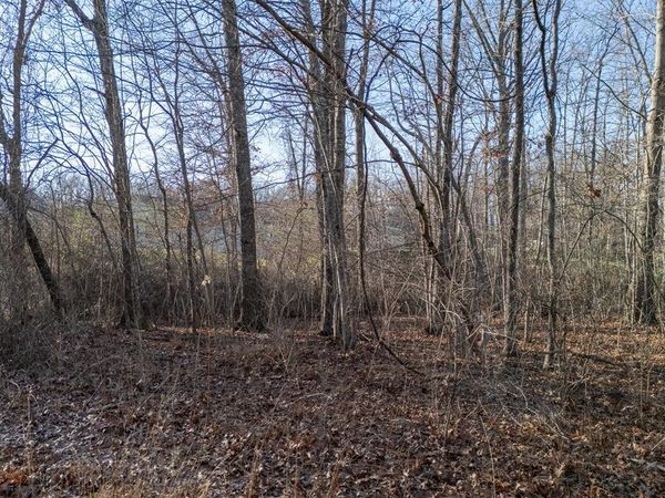 Lot 1736 Satsuma Dr, Crossville, TN 38555