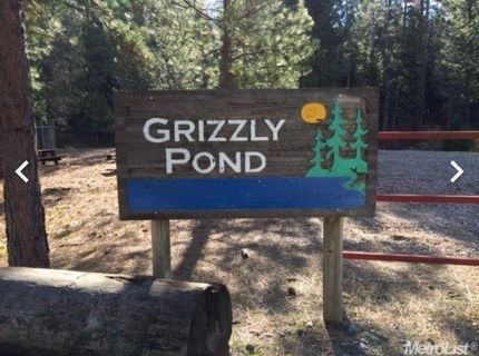 5055 Parkside Dr, Grizzly Flats, CA 95636 Photo