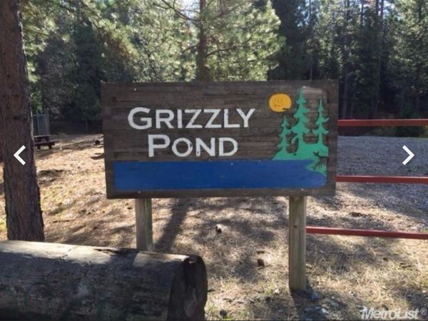 5055 Parkside Dr, Grizzly Flats, CA 95636