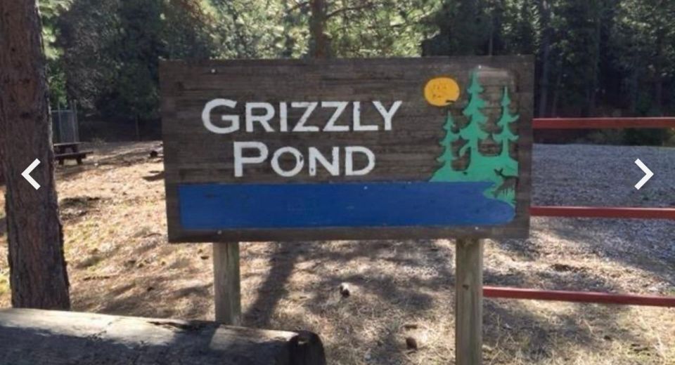 5055 Parkside Dr, Grizzly Flats, CA 95636 Photo