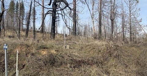 5055 Parkside Dr, Grizzly Flats, CA 95636 Photo