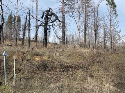 5055 Parkside Dr, Grizzly Flats, CA 95636 Photo