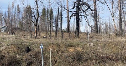 5055 Parkside Dr, Grizzly Flats, CA 95636 Photo