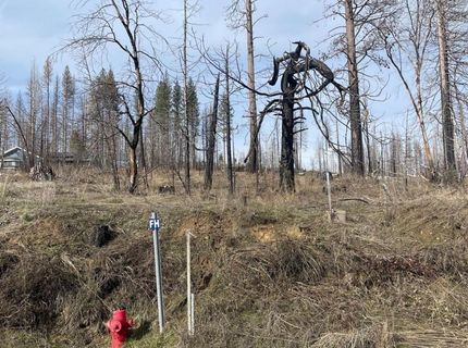 5055 Parkside Dr, Grizzly Flats, CA 95636 Photo