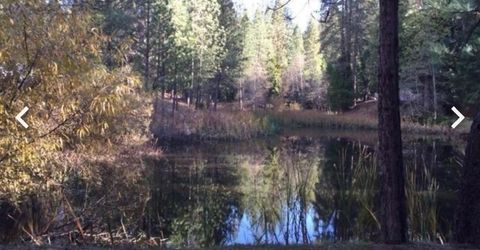 5055 Parkside Dr, Grizzly Flats, CA 95636 Photo