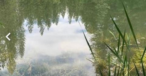 5055 Parkside Dr, Grizzly Flats, CA 95636 Photo