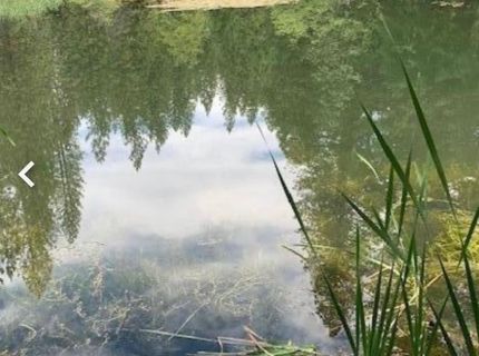 5055 Parkside Dr, Grizzly Flats, CA 95636 Photo