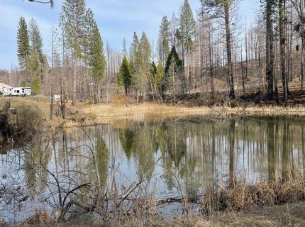 5055 Parkside Dr, Grizzly Flats, CA 95636 Photo