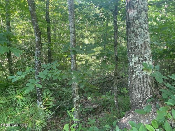 Lot 71 Hazelnut Lane, Sevierville, TN 37876