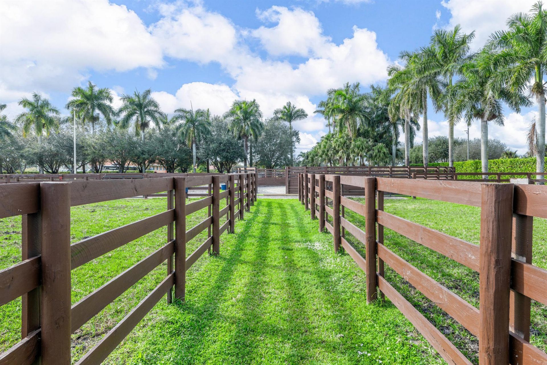 14750 Palm Beach Point Boulevard, Wellington, FL 33414 Photo