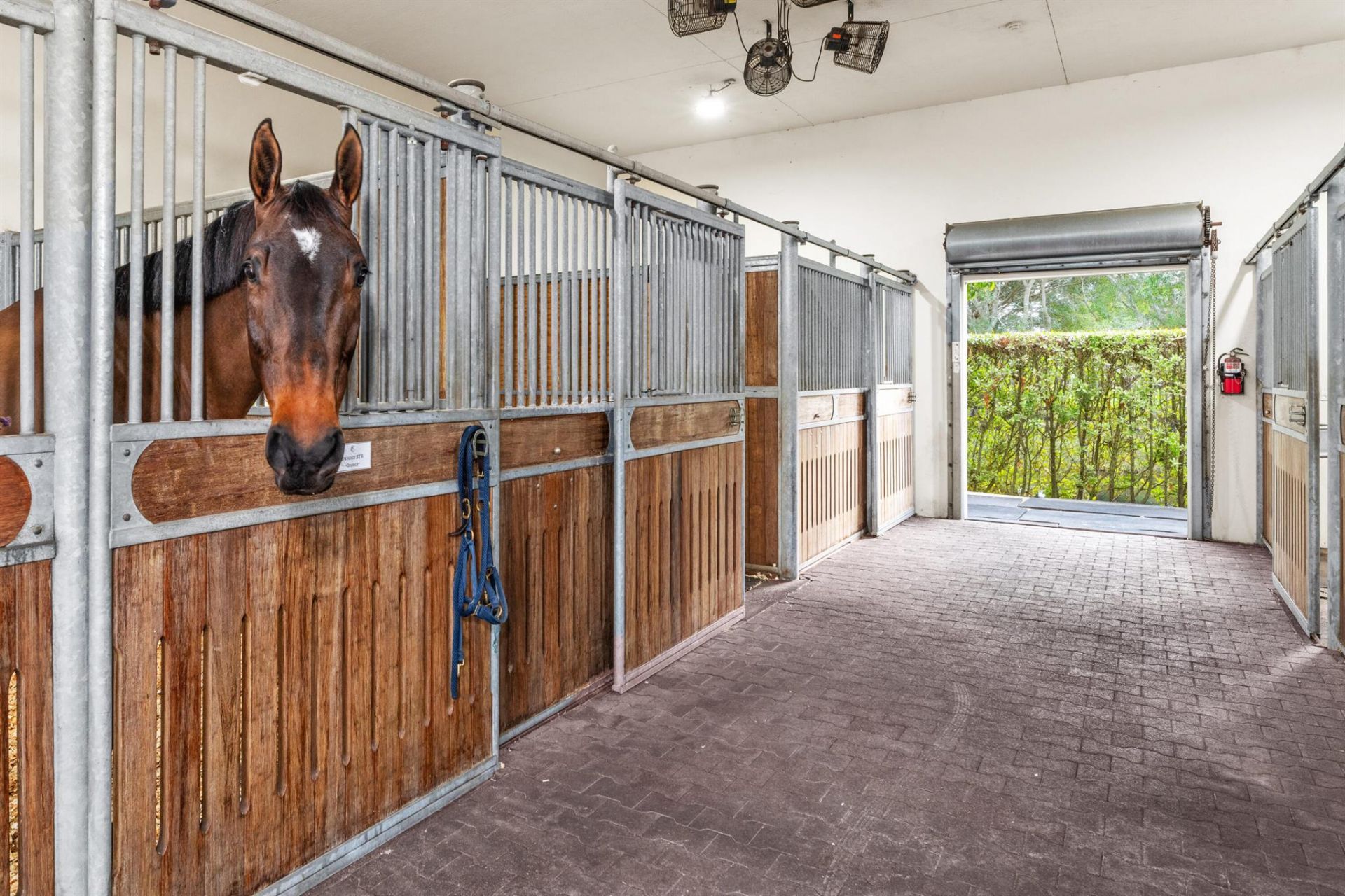 14750 Palm Beach Point Boulevard, Wellington, FL 33414 Photo