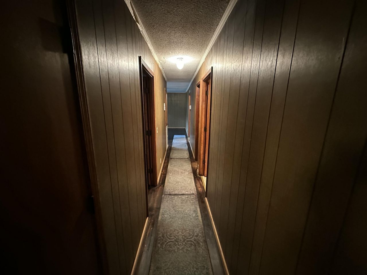 135 Golden Avenue Photo 5