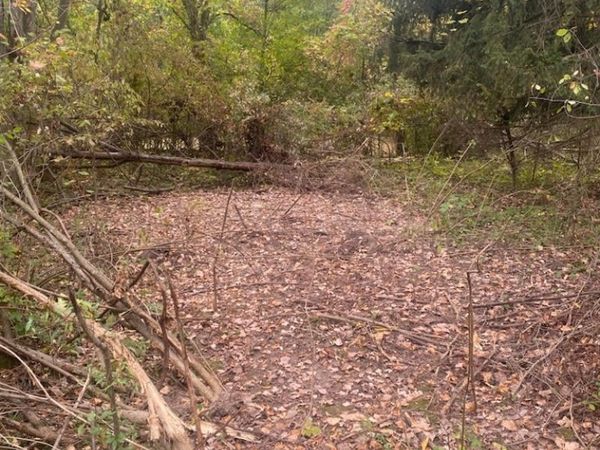 1869 NW Wilson Avenue NW, Walker, MI 49534