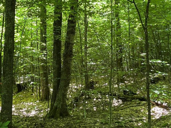 3C Westover Road, Jay, VT 05859