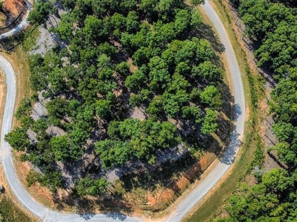 LT 84 Ridge Dr, Morganton, GA 30560
