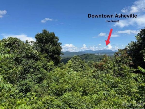 49 Ben Lippen School Road, Asheville, NC 28806