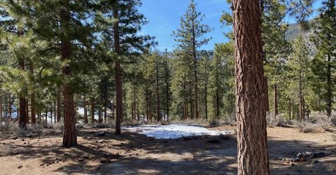 156 Walton Toll Road, Carson City, NV 89705 Photo